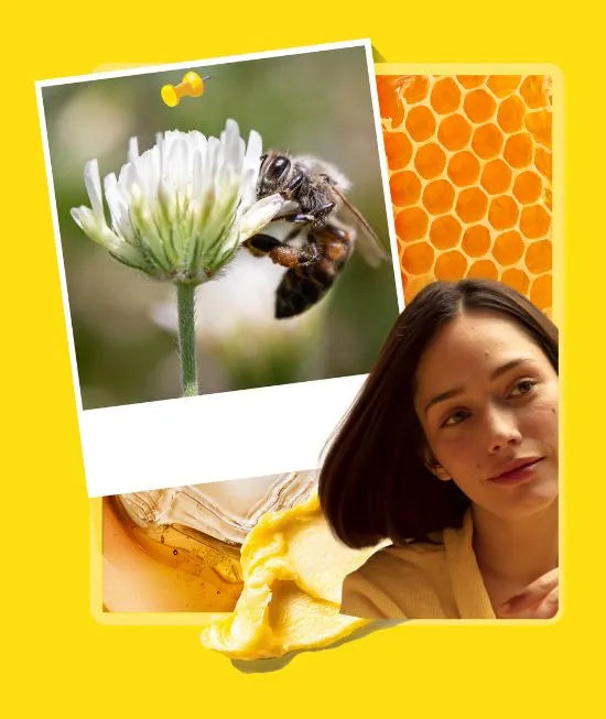 Beesline