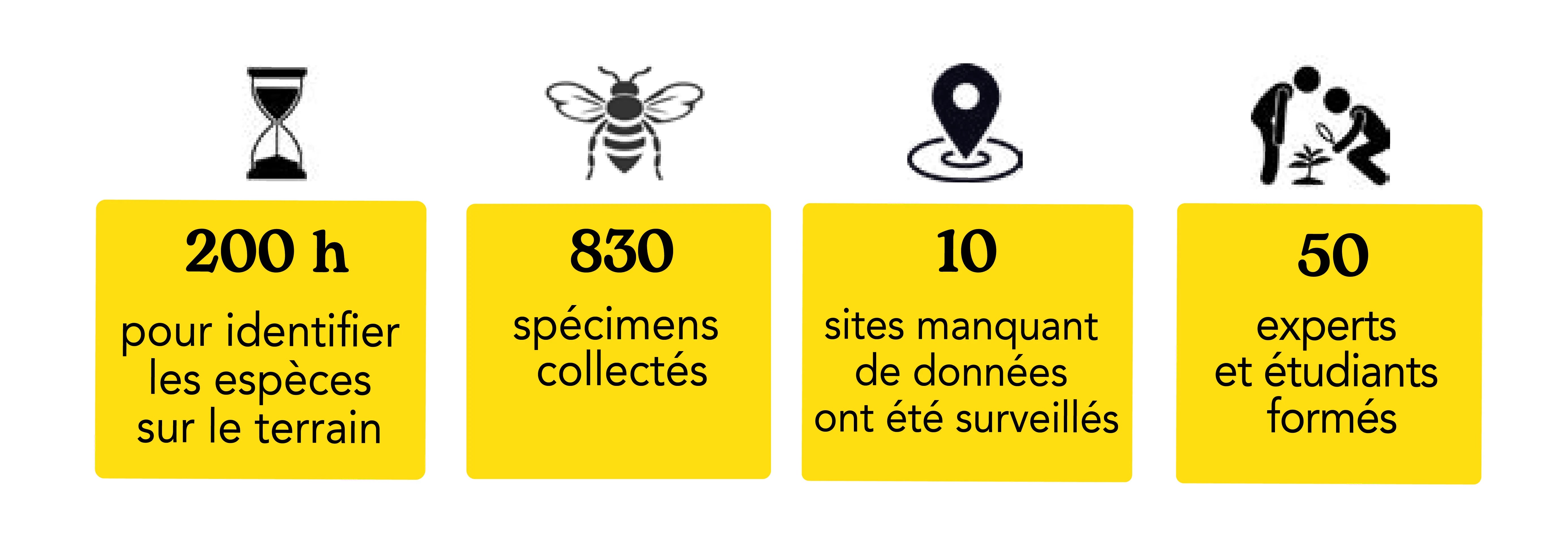 Beesline