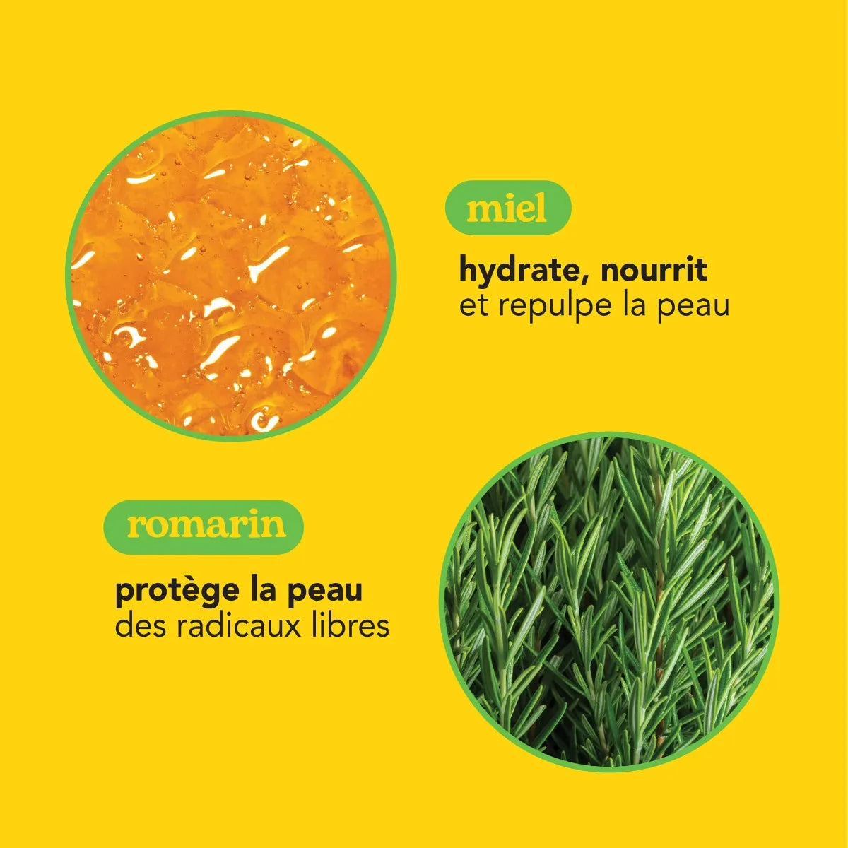 Daily Moisturizing Cream – Honey & Rosemary