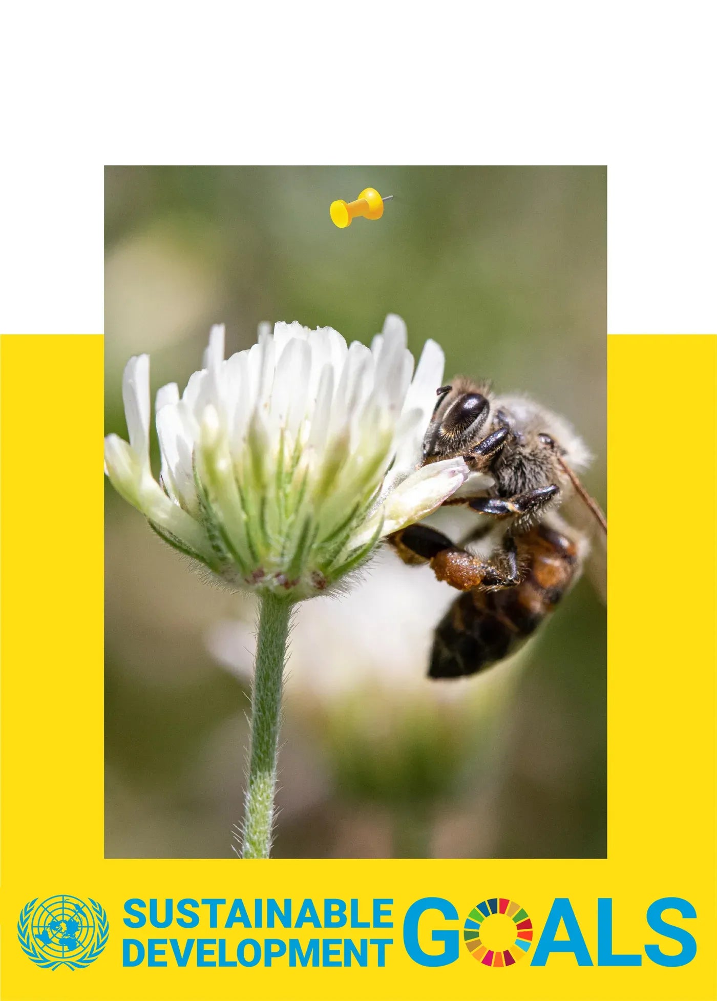 Beesline