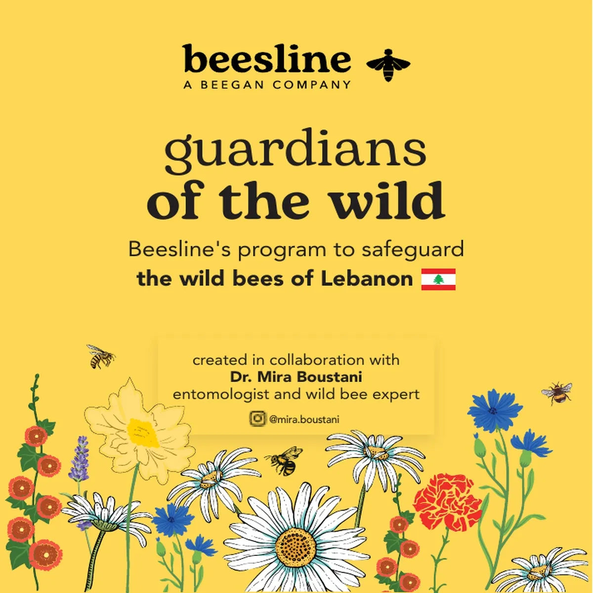 Wild Bees Conservation Flyer - Seeds