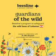Wild Bees Conservation Flyer - Seeds