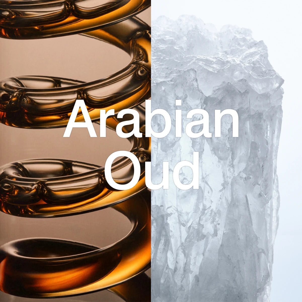 Whitening Roll-On - 48hr - Arabian Oud